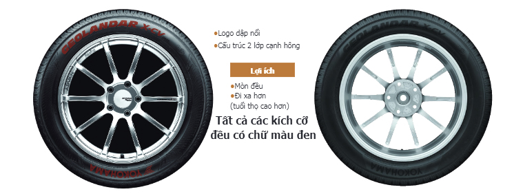 GEOLANDAR X-CV